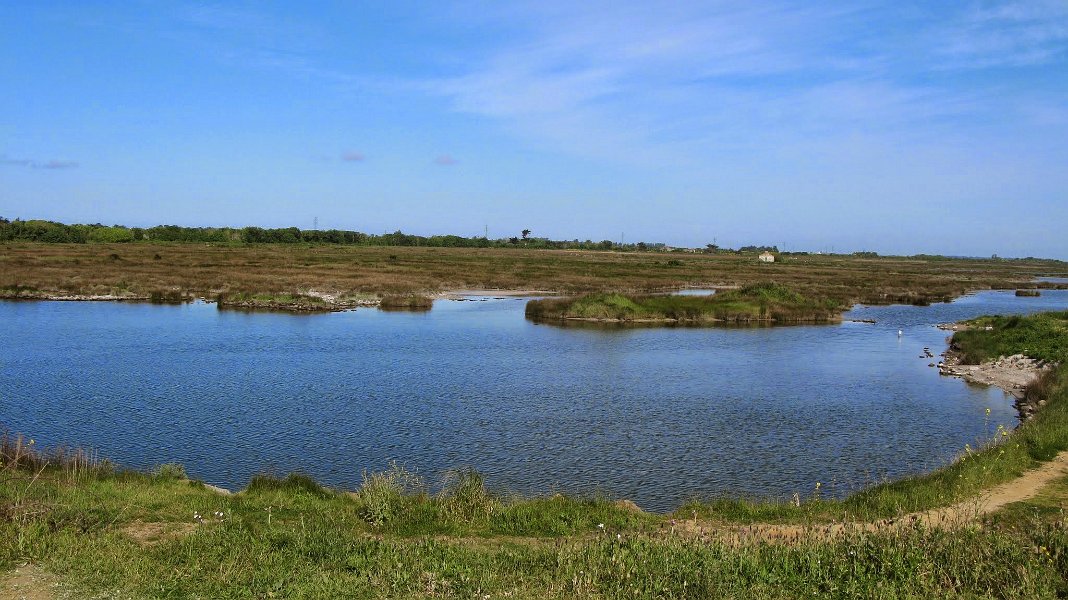 2014 Ile de Noirmoutiers Sylt (194)